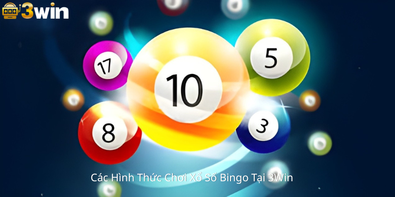 Các Hình Thức Chơi Xổ Số Bingo Tại 3Win